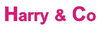 Tanzband Harry & Co. Live-Musik für Ihre Feier
